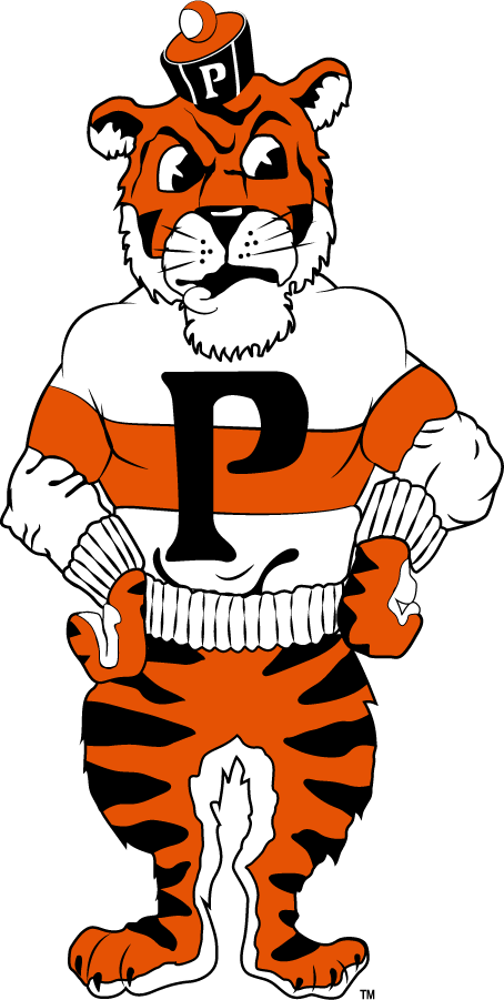 Pacific Tigers 1985-1998 Secondary Logo diy iron on heat transfer